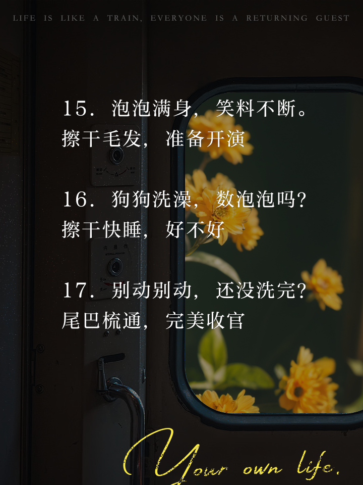 包含某外援中文十级，采访笑翻全场的词条