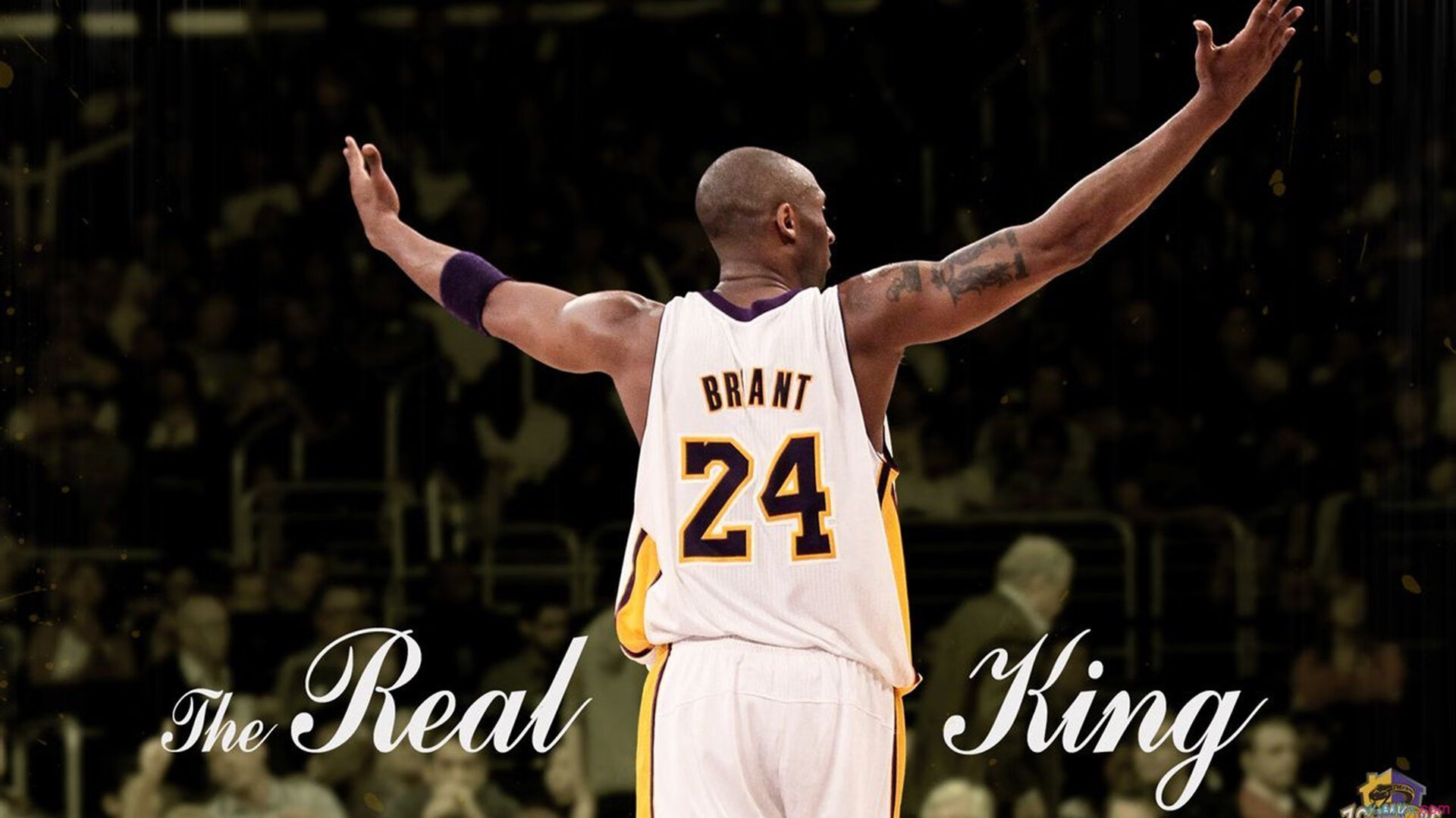 “德甲战火不断，冠军之争日益激烈”，德甲冠军是谁