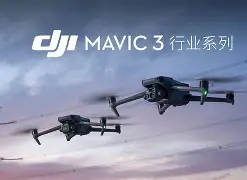 新秀合同大揭秘：谁最超值？