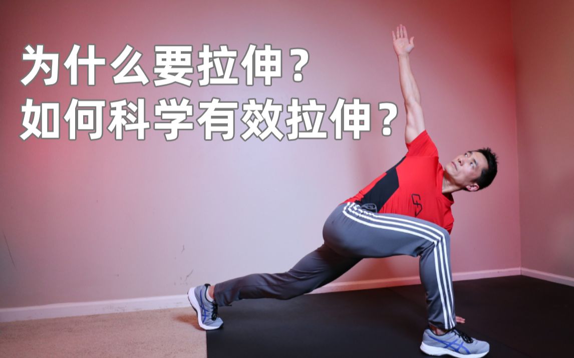 为什么运动后要拉伸？科学告诉你答案